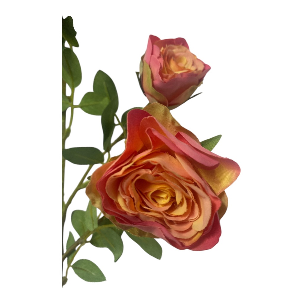 ROSA DOROTA 65CM