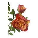 ROSA DOROTA 65CM
