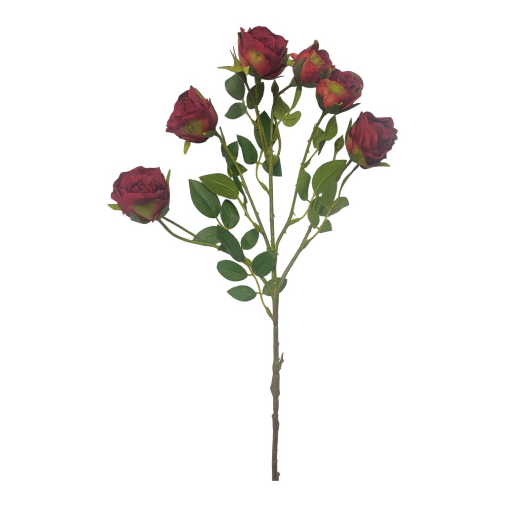 ROSA DOROTA 65CM