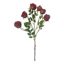 ROSA DOROTA 65CM