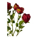 ROSA DOROTA 65CM