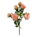 ROSA DOROTA 65CM