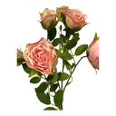 ROSA DOROTA 65CM