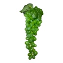 UVAS ARTF. 60 UVAS 30CM