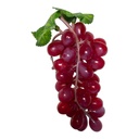 UVAS ARTF. 36UVAS 