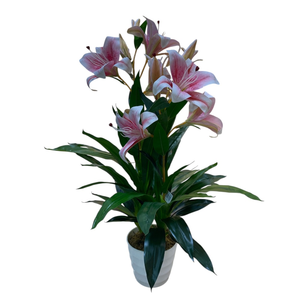PLANTA LIRIO ROSA C/ MACETA 90CM