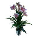 PLANTA LIRIO ROSA C/ MACETA 90CM