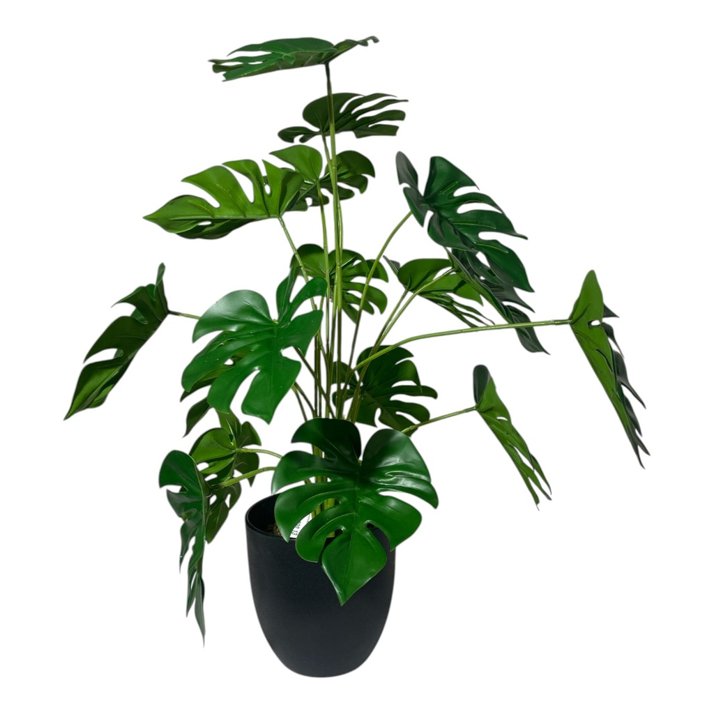 10923023 ART. ARTIFICIAL/ PLANTA HOJA DE TORTUGA X1
