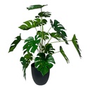 10923023 ART. ARTIFICIAL/ PLANTA HOJA DE TORTUGA X1