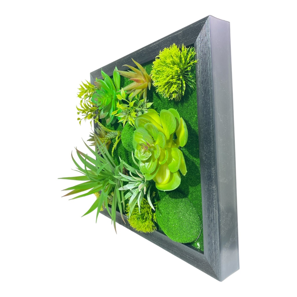 JARDIN CACTUS PARED 30X30CM