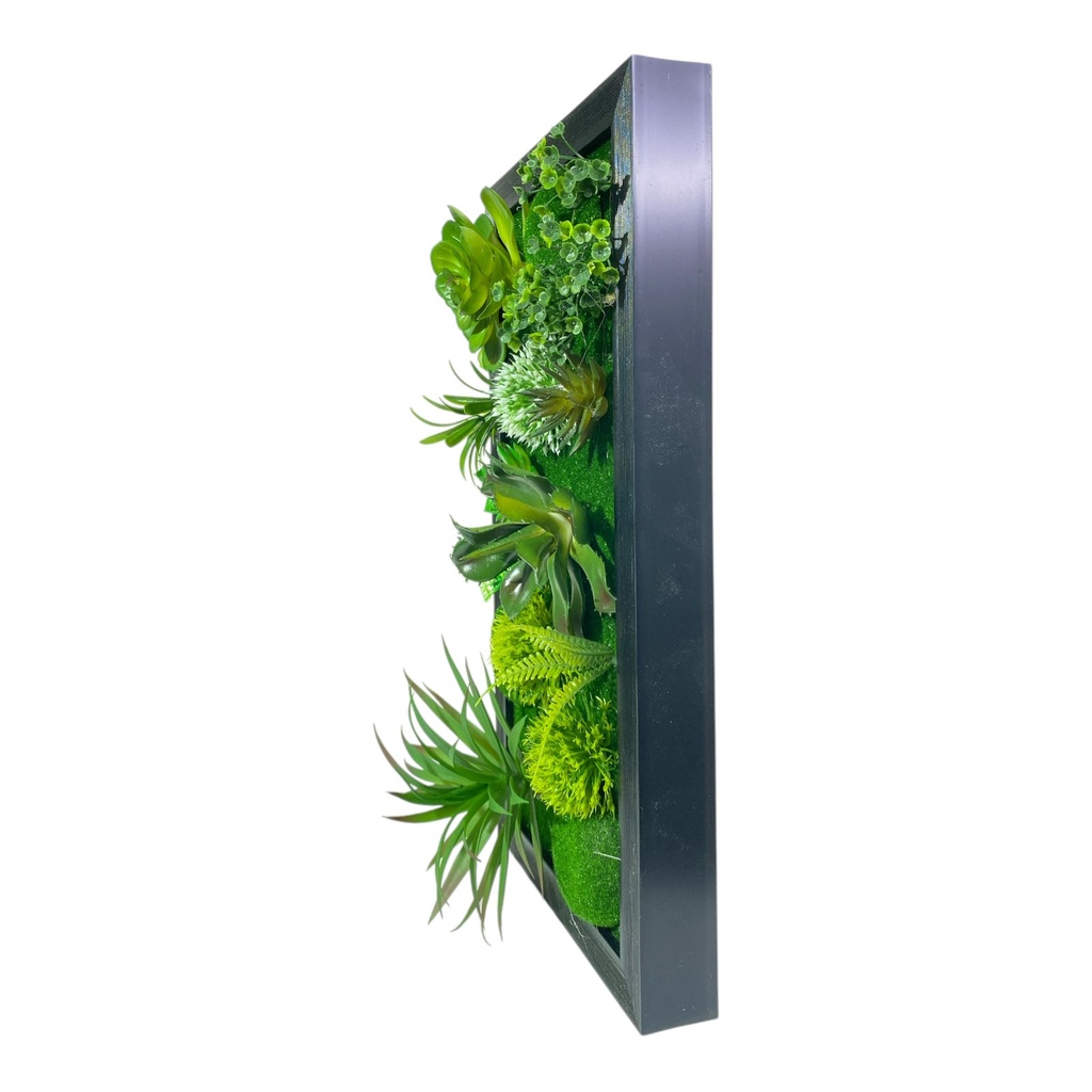 JARDIN CACTUS CUADRO DE PARED 25X48CM