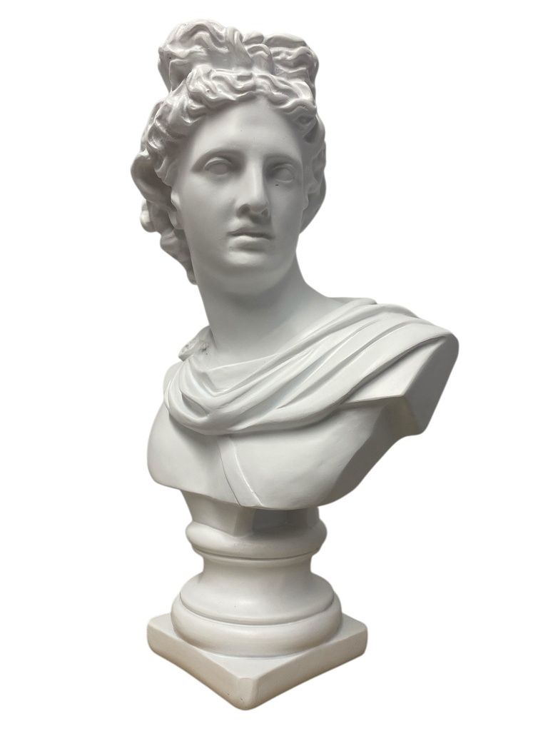 FI-2025-1119 BUSTO DAVID POLIRESINA 20X11X30CM