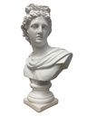 FI-2025-1119 BUSTO DAVID POLIRESINA 20X11X30CM