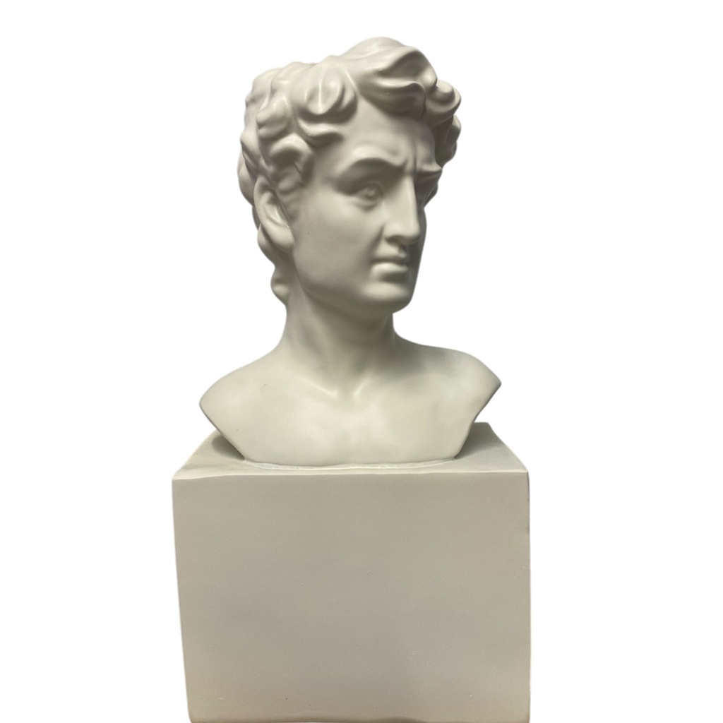 BUSTO DAVID FLORERO POLIRESINA 19.5X11X38CM