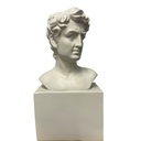 BUSTO DAVID FLORERO POLIRESINA 19.5X11X38CM