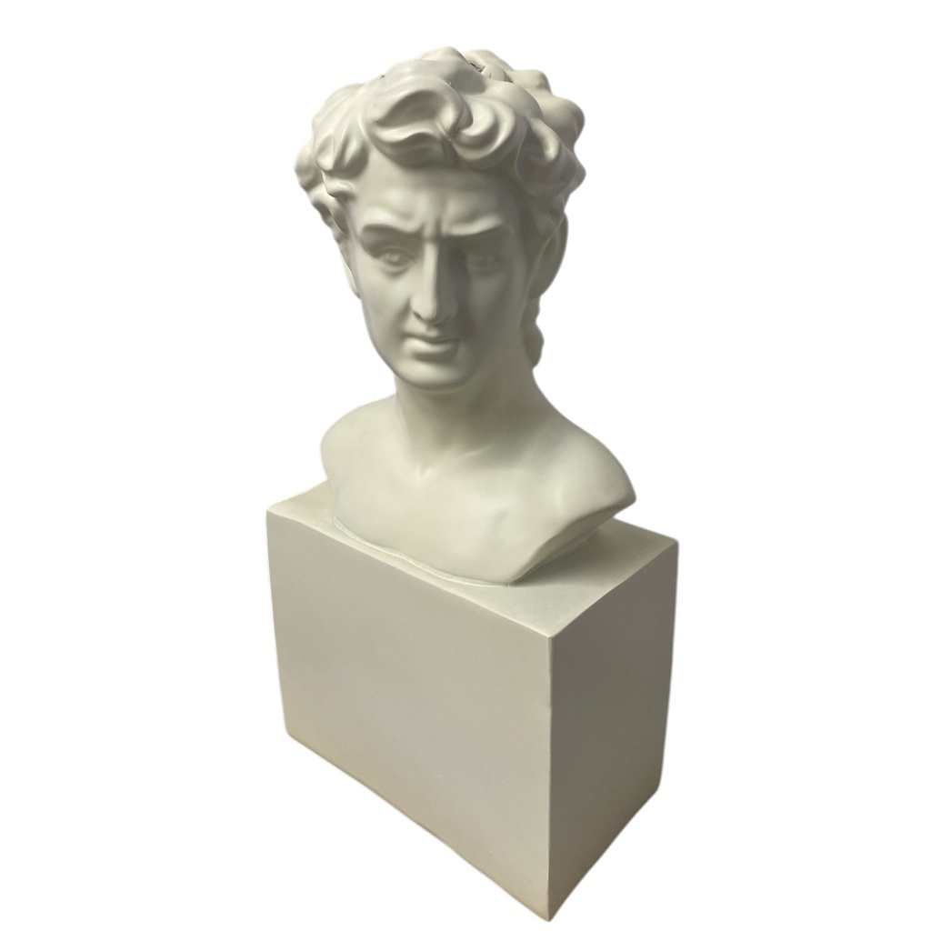 BUSTO DAVID FLORERO POLIRESINA 19.5X11X38CM