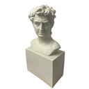 BUSTO DAVID FLORERO POLIRESINA 19.5X11X38CM