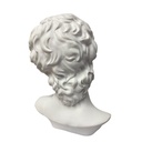 BUSTO DAVID DE MIGUEL ANGEL POLIRESINA 20X18X30CM
