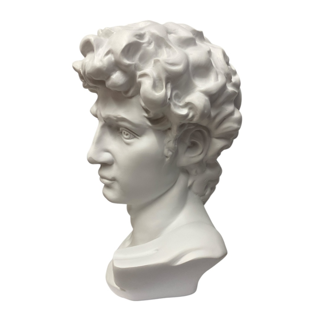 BUSTO DAVID DE MIGUEL ANGEL POLIRESINA 20X18X30CM