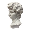 BUSTO DAVID DE MIGUEL ANGEL POLIRESINA 20X18X30CM