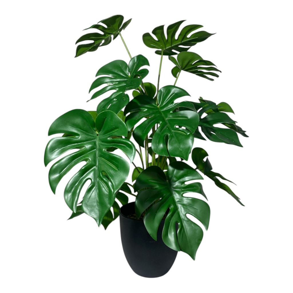 10923023 ART. ARTIFICIAL/ PLANTA HOJA DE TORTUGA X1