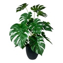 10923023 ART. ARTIFICIAL/ PLANTA HOJA DE TORTUGA X1