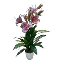 PLANTA LIRIO ROSA C/ MACETA 90CM