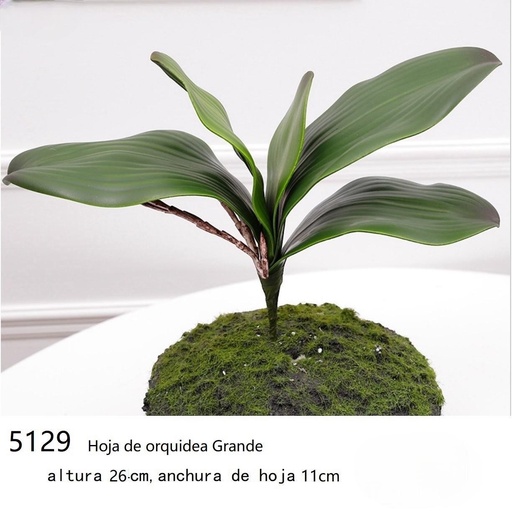 [5129] HOJA DE ORQUIDEA 27X8.5CMX5H