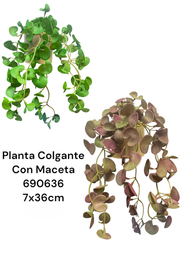 [6584599226989] PLANTA COLGANTE C/MACETA ES22698 7X36CM