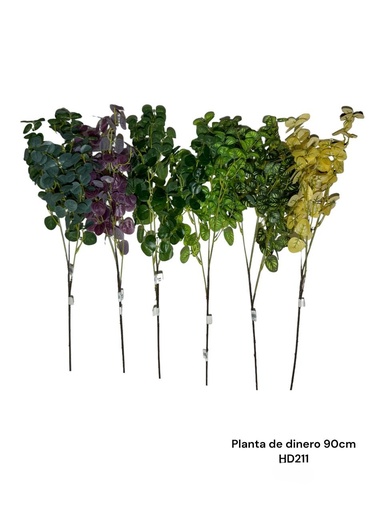 [HD211] PLANTA DE DINERO 90CM DE150HOJAS X 4CM