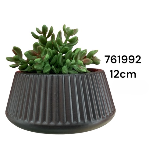 [761992] PLANTA DECORATIVA REF:ES23330 (14*6.5*H12CM)