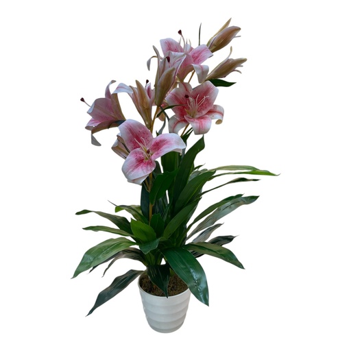 [22461] PLANTA LIRIO ROSA C/ MACETA 90CM