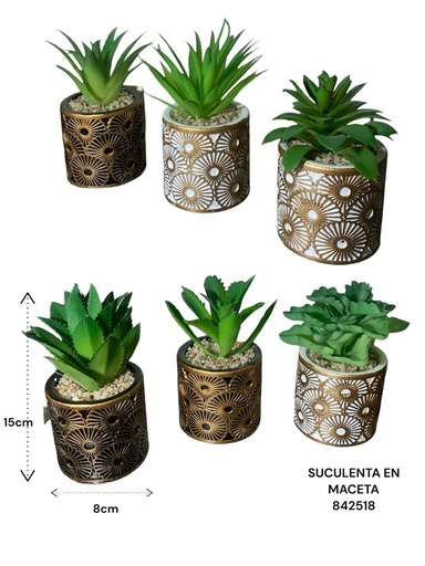 [842518] SUCULENTA EN MACETA ES22758 8X15CM