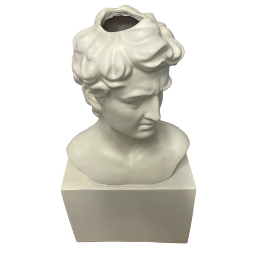 [202502020251109] BUSTO DAVID FLORERO POLIRESINA 19.5X11X38CM